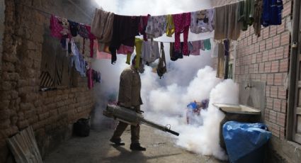 Advierte OMS que casos de dengue se han duplicado en el mundo