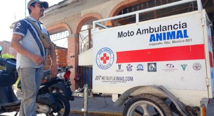 Llega a Salamanca la Moto Ambulancia Animal, aquí te decimos qué es