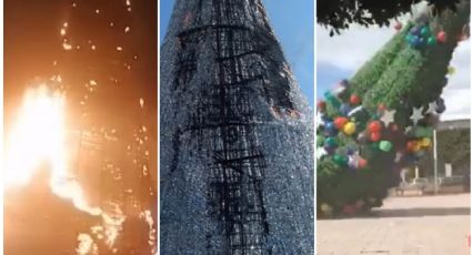 Fuego, viento y un Grinch: así han sufrido árboles de Navidad en Hidalgo