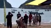 Tiburón le amputa pierna a una turista en Playa Melaque, Jalisco; murió tras desangrarse en la arena