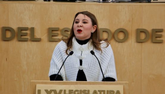 Iniciativa contra violencia obstétrica en Guanajuato lleva 3 meses ‘congelada’