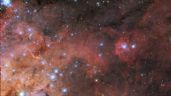 NASA: Capta la Nebulosa de la Tarántula