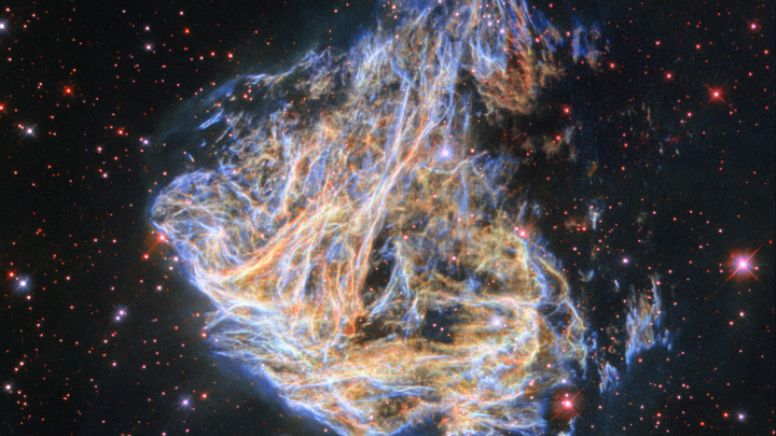 Telescopio de la NASA sorprende al mundo con colección de fotos de supernovas