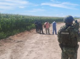 Hallan el cuerpo de una niña de 4 años enterrada en medio de campos agrícolas