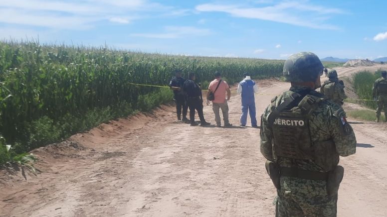 Seguridad en Sinaloa: hallan cuerpo de niña de 4 años en medio de campo agrícola