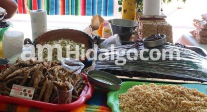 Hasta en 500 pesos tacos y platillos en Muestra Gastronómica de Santiago de Anaya