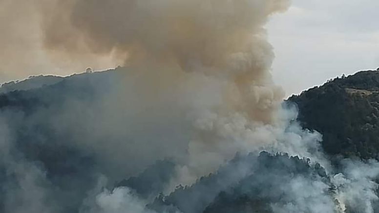 Desalojan a habitantes de La Mesa, se reavivó incendio en Los Mármoles, Zimapán