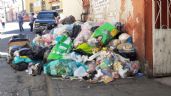 Anuncian en Pachuca multas severas contra quienes tiran basura en la vía pública