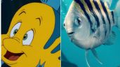 Tunden a Disney por nuevos pósters incluyentes de La Sirenita: 'Parece que están deprimidos'