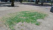 En el ‘olvido’ mejoras en parque de la Alameda de Celaya