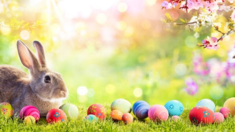 Conoce la historia de los huevos de Pascua y por qué los entrega un conejo