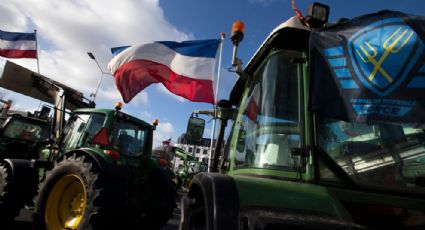 Medio Ambiente: Holanda compra granjas para evitar contaminación por nitrógeno