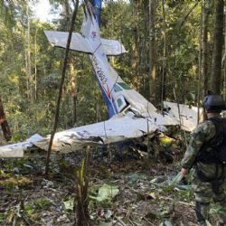 Niños desaparecidos en Colombia siguen sin localizarse tras un mes