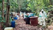 Narcotráfico en Quintana Roo: Ejército halla laboratorio clandestino en medio de la selva