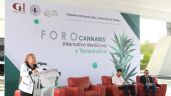 Analiza Congreso de Hidalgo avances y desafíos de cannabis con fines medicinales y terapéuticos