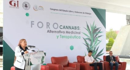Analiza Congreso de Hidalgo avances y desafíos de cannabis con fines medicinales y terapéuticos