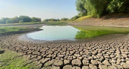 Agoniza la presa El Palote: Está al 20 % de su capacidad y podría secarse por cuarta vez en su historia