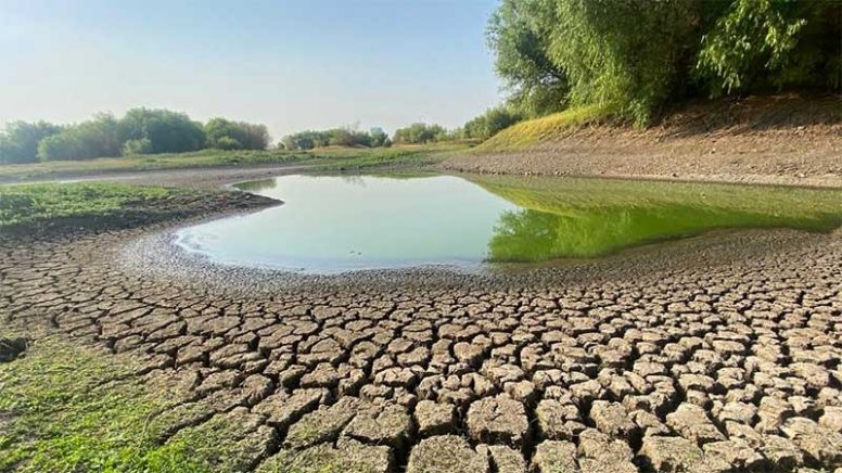 Agoniza la presa El Palote: Está al 20 % de su capacidad y podría secarse por cuarta vez en su historia
