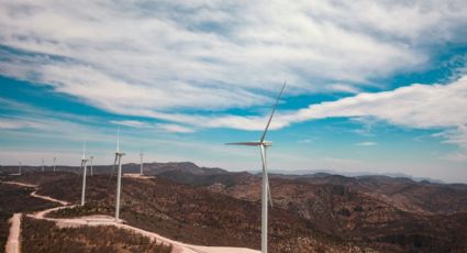 Levantan 'castigo' a Iberdrola; le dan permiso eléctrico para planta eólica en Guanajuato