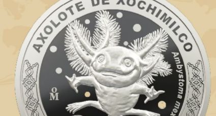 ¡Otro ajolote de colección! Casa de Moneda lanza medalla conmemorativa, checa el precio