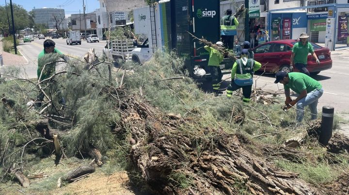 Después de la tormenta… juntan 50 toneladas de basura en León