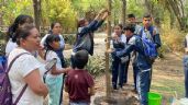 Preparan intensa reforestación en León, plantarán mil árboles en seis delegaciones