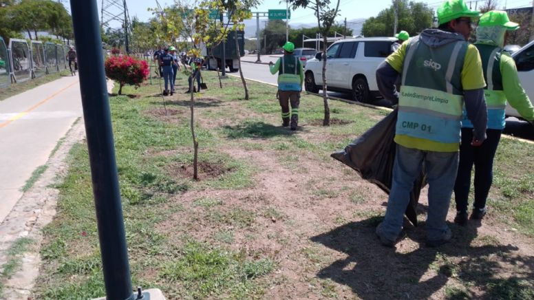Triplica León meta de plantación de árboles; serán 36 mil en el año, afirma Alcaldesa