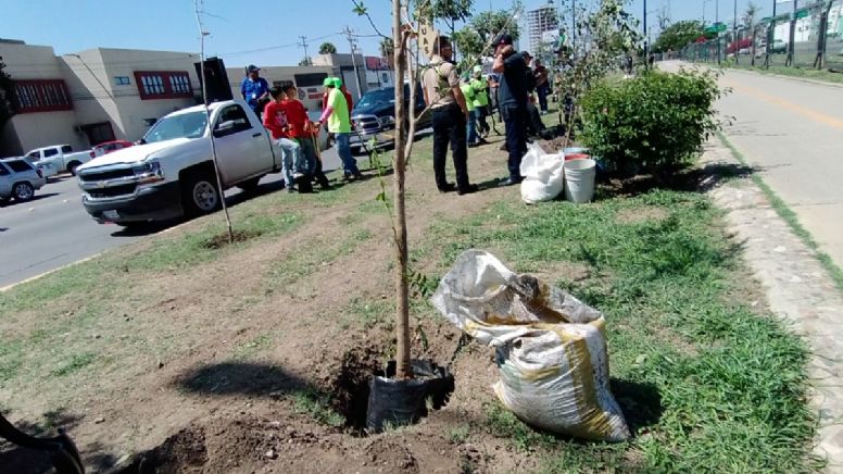 Con georreferencia: el plan para vigilar cada árbol que se plantará en León