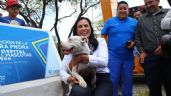 Colocan primera piedra del Hospital de Mascotas de León, año y medio después de anunciarlo