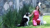 Día Internacional del Perro: Alexia Cruz, la Miss que ama a sus mascotas