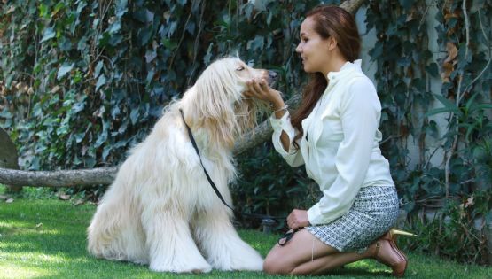 Día Internacional del Perro: Fabiola Campos, rescatando huellas