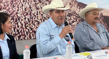 Destinan apoyo por $50 millones a productores de trigo de Guanajuato