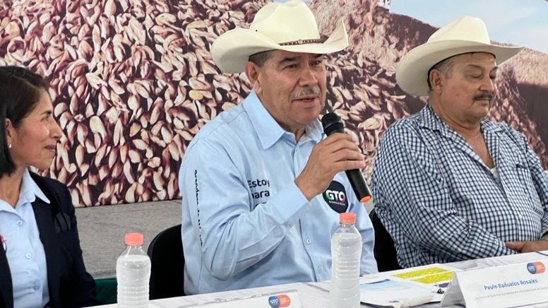 Destinan apoyo por $50 millones a productores de trigo de Guanajuato