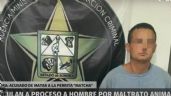 Protección Animal: Detienen a hombre que mató a perrita en medio de una discusión entre vecinos en Sonora