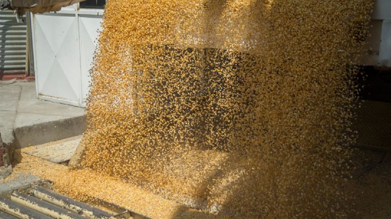 Modelo invierte 300 millones de dólares en procesadora de maíz en Salamanca