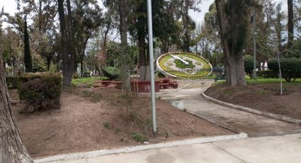 Plagas en mayoría de parques y jardines en Pachuca, alertan trabajadores