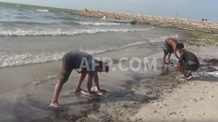 Denuncia autoridades ambientales afectaciones por derrame de petróleo en playas de México