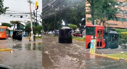 Captan al 'Tinaco viviente' circulando en calles de Guadalajara tras inundaciones (VIDEO)