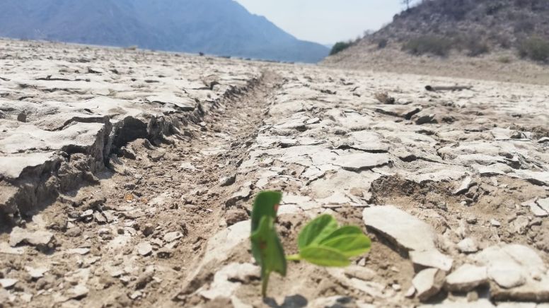 En sequía extrema seis municipios del Valle del Mezquital; todo Hidalgo afectado por escasez de agua