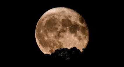 ¡Es hoy! Esta noche la Superluna azul, la más grande del año, se dejará ver en Guanajuato