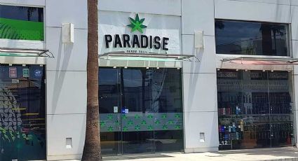 Abren en León tiendas Paradise, de Vicente Fox, de productos de cannabis