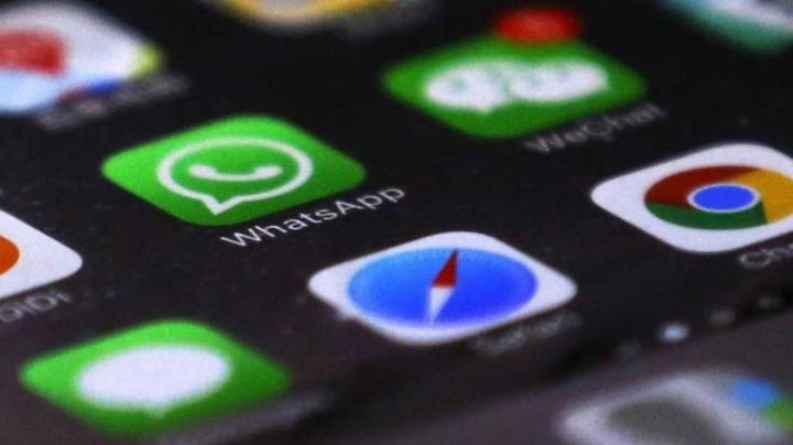 Lanza WhatsApp nueva función 'Novedades', ¿para qué sirve y cómo seguir canales?