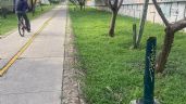 Vecinos denuncian constantes robos de postes y alumbrado en ciclovías de León