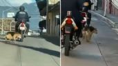 Maltrato animal: Captan a policía arrastrando a perrito con su motocicleta en Veracruz