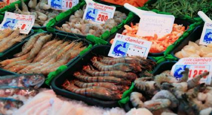 Negligencia: Mexicana pierde extremidades tras adquirir bacteria ‘come carne’ por comer pescado