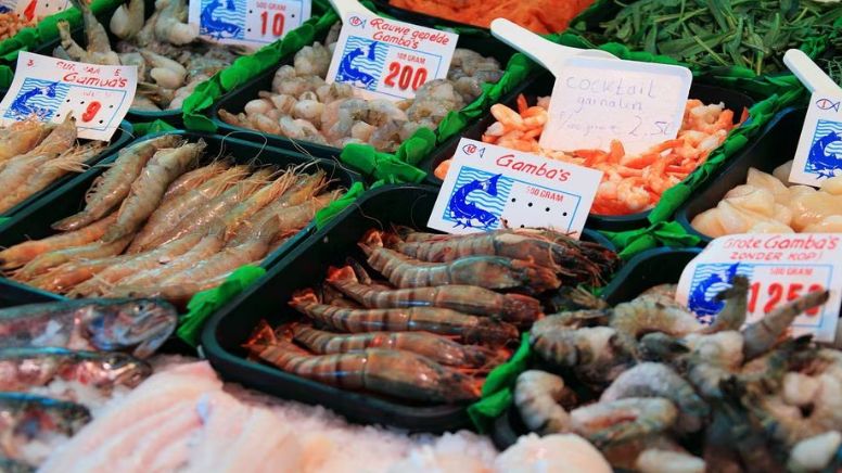 Negligencia: Mexicana pierde extremidades tras adquirir bacteria ‘come carne’ por comer pescado