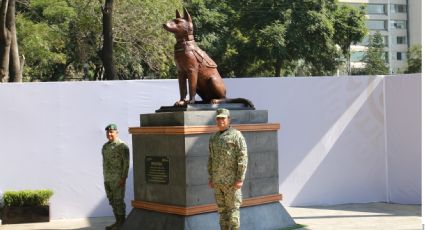 Develan estatua a 'Proteo', can que murió ayudando a Turquía