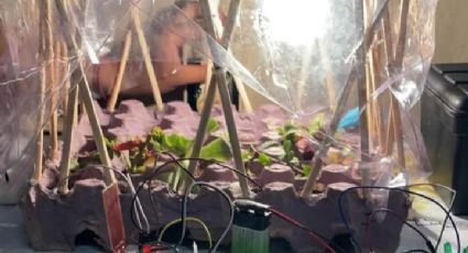 Alumnas de secundaria de León buscan revolucionar la agricultura con invernadero automatizado