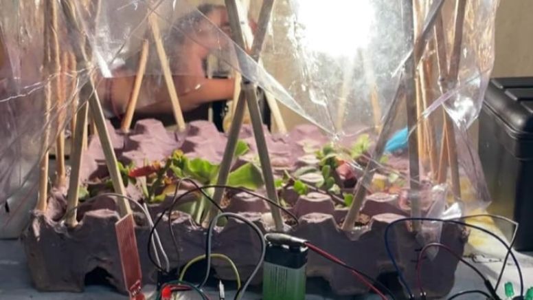 Alumnas de secundaria de León buscan revolucionar la agricultura con invernadero automatizado