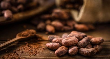 ‘Conexión Cacao’ el nuevo festival que llega a Explora